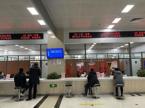 东营广饶一件事集成服务便民提效暖人心，上海信息系统集成服务助力智慧城市升级